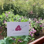 Le Bougainvillea 3*