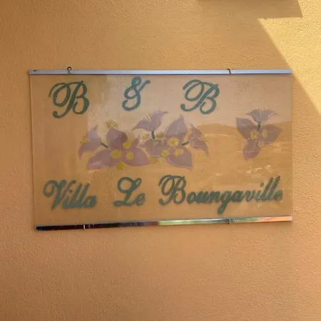 Le Bougainvillea