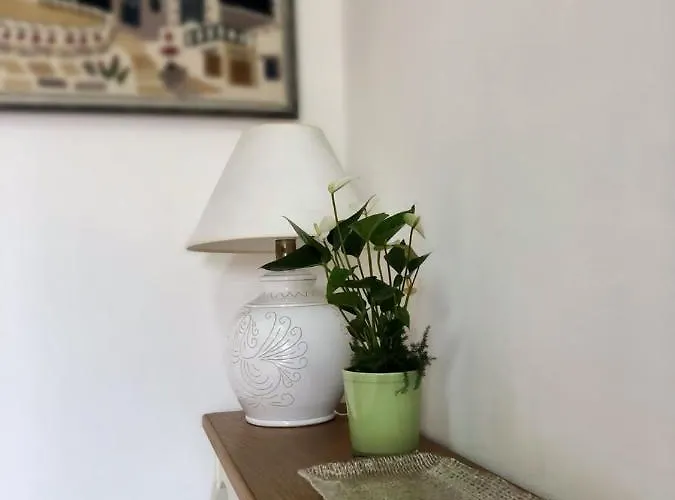 Le Bougainvillea ゲストハウス