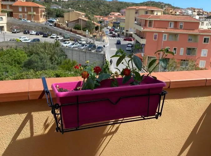 Le Bougainvillea ゲストハウス 4*