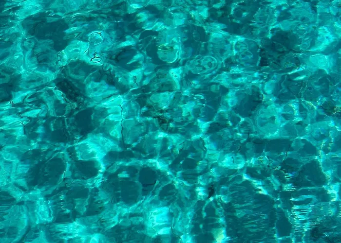 ゲストハウス Le Bougainvillea ラ・マッダレーナ